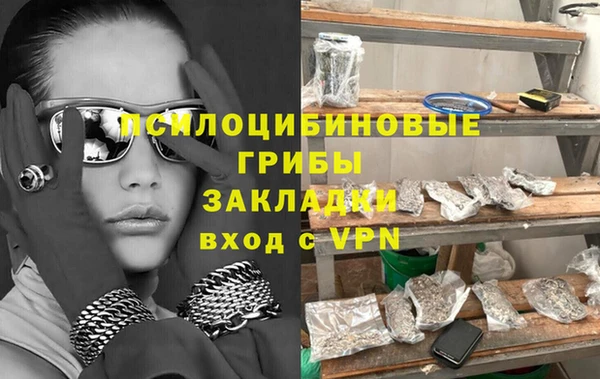 mdpv Богородск