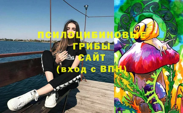 каннабис Богданович
